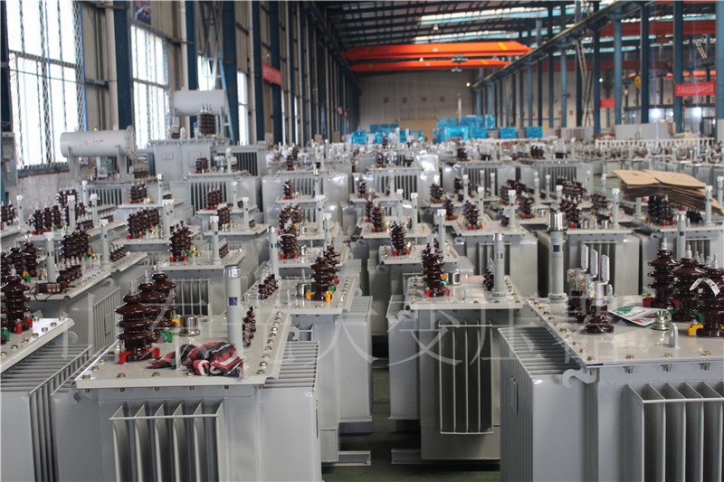 中方S22-800KVA/10KV